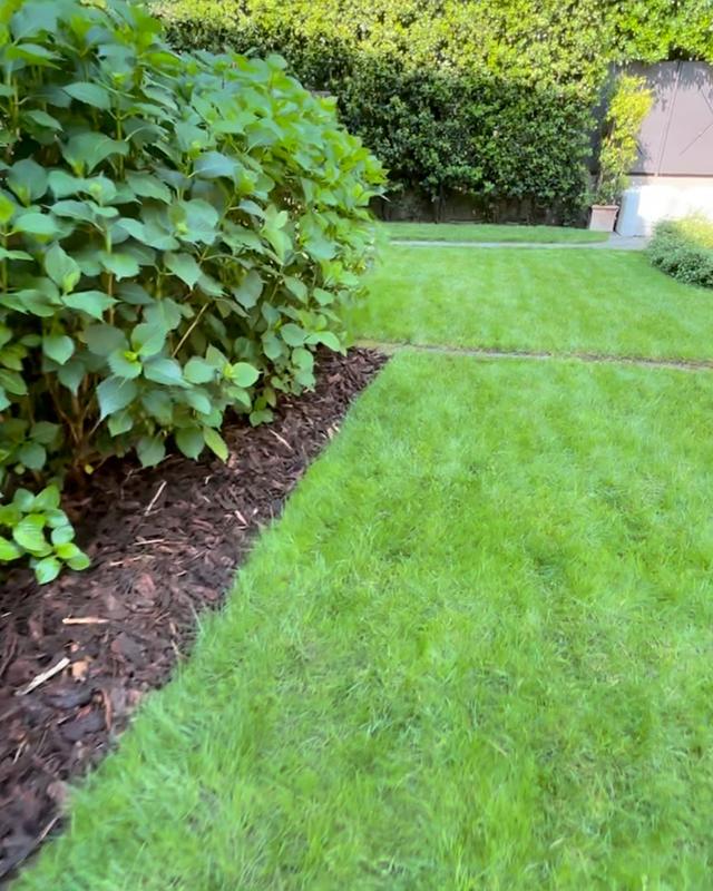 Aiuola per una zona d'ombra, con pacciamatura e bordo netto