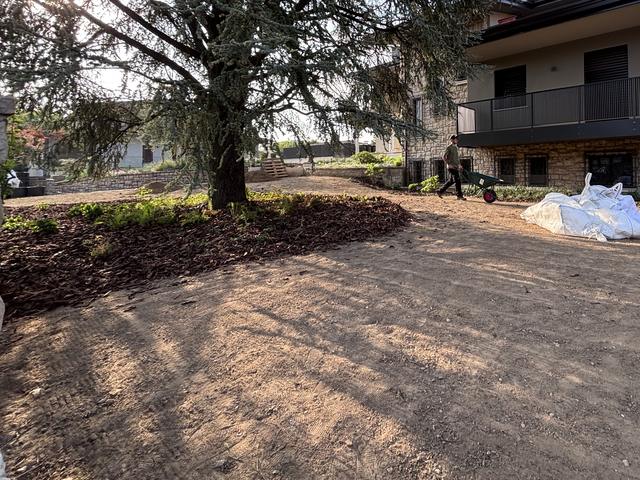 Terreno livellato e pronto per il nuovo prato, con un grande cedro