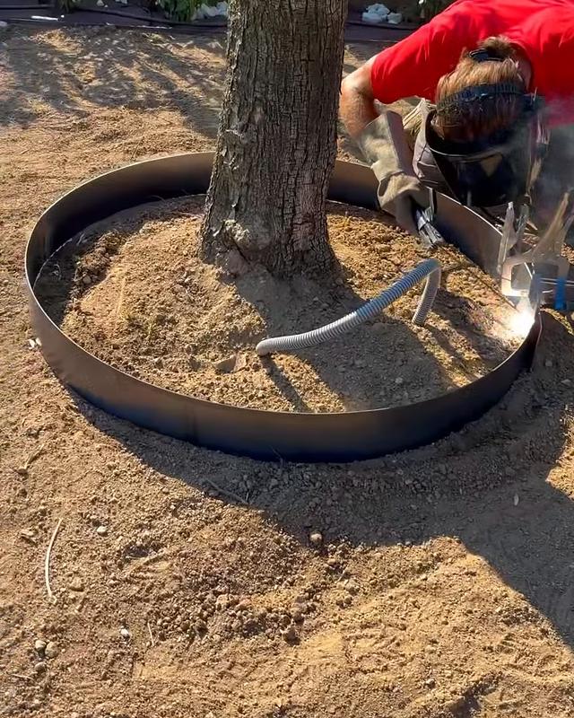 Bordura circolare in corten sagomata su misura intorno a un albero