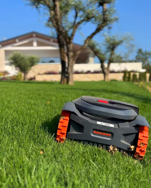 Robot rasaerba sul prato tra gli ulivi