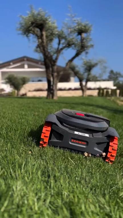 Robot rasaerba al lavoro tra gli ulivi